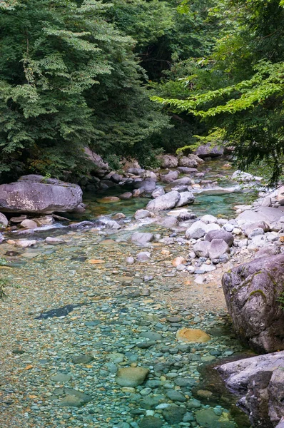 Waldfluss mit kristallklarem, blauem Wasser und Felsen — Stockfoto