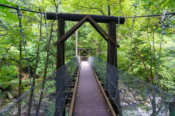 Suspension bridge over river in forest — Stock Photo, Image