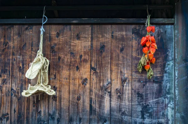 Bella parete di legno con baccelli di physalis luminosi e tradizionali — Foto Stock