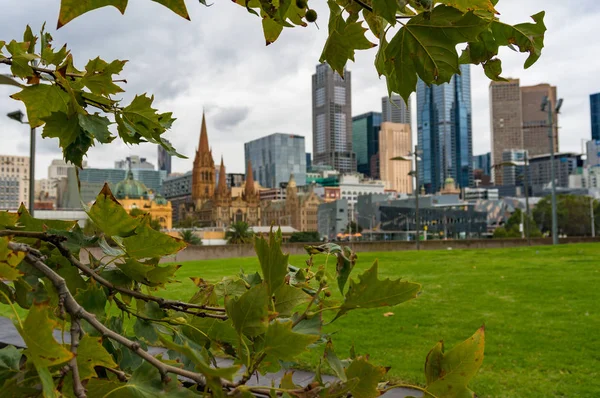 Melbourne CBD view framed with autumn leaves — Stock Photo, Image