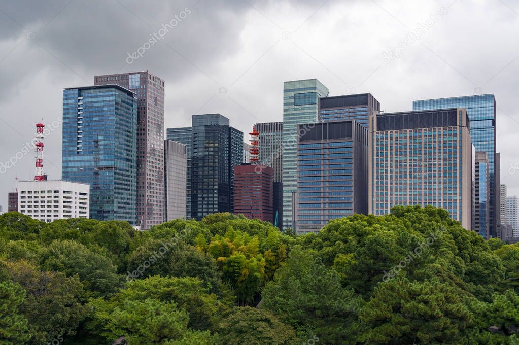 Modern skyscrapers with lush green tree canopies on the foregrou