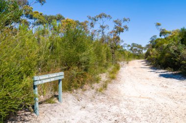 Yön işareti ile yürüyüş yolu