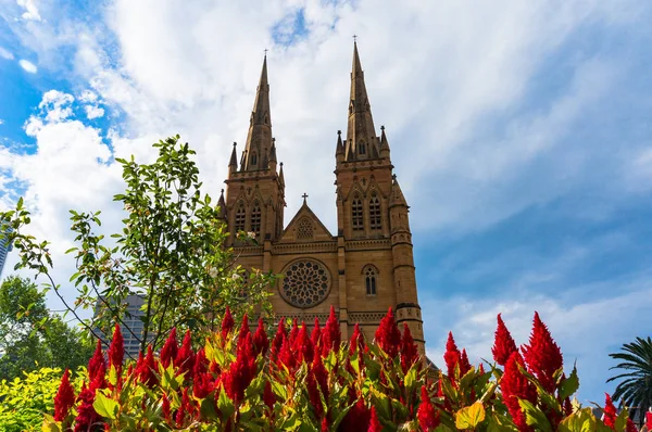 St. Marien-Kathedrale Wahrzeichen am sonnigen Tag — Stockfoto