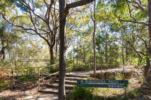 Royal National Park Bungoona yolu