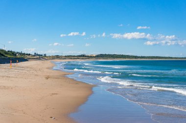 Güneşli bir günde kumlu plaj ve deniz