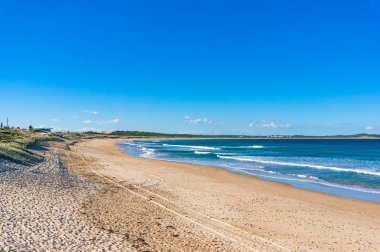 Kum ve yumuşak dalgalar ile güzel tropikal plaj