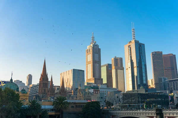 Melbourne paisagem urbana com pássaros acima arranha-céus — Fotografia de Stock