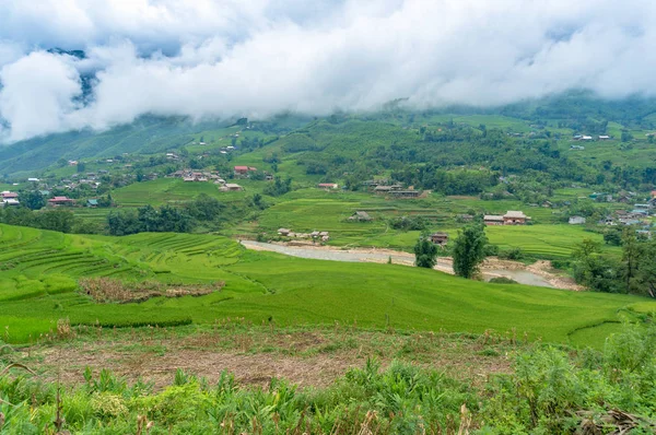 Campo, paisaje rural con arrozal y pueblo — Foto de Stock