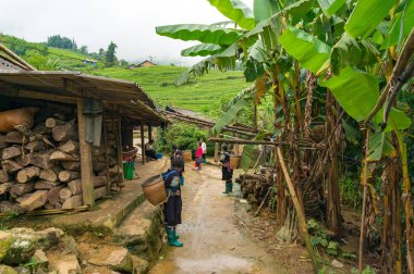 Yerel kadın kılavuzları ile Otantik Vietnam köyü