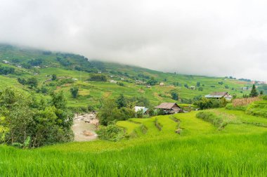 Kırsal Vietnam. Sapa eyaletinde kırsal peyzaj, Vietnam