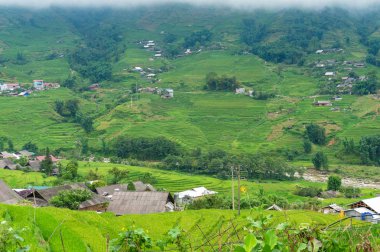 Kırsal Vietnam kırsal manzara