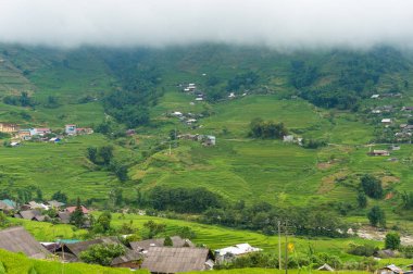 Doğal pirinç terasları doğa arka plan