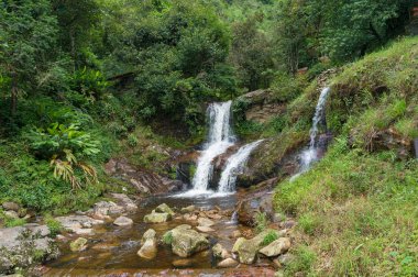 Bir ormandaki güzel şelale