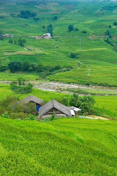Сільський пейзаж з сільськими будинками серед рисових терас — стокове фото