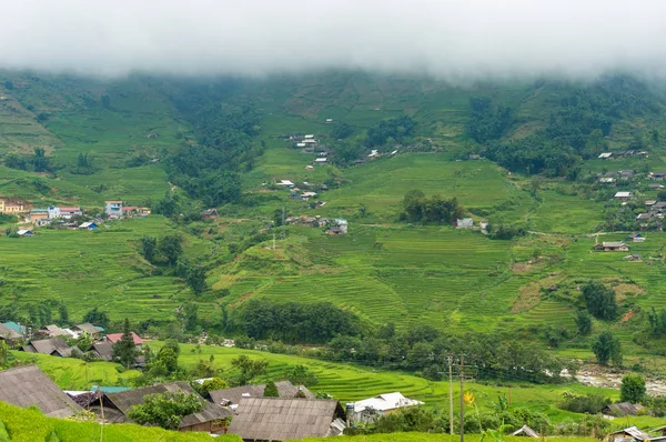 Doğal pirinç terasları doğa arka plan