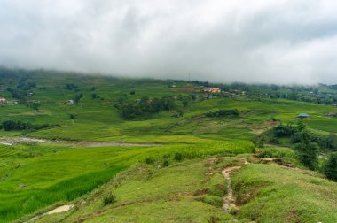 Yeşil pirinç terasları ile Vietnam kırsal arka plan