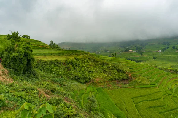 Paisagem de countryside com terraços de arroz — Fotografia de Stock