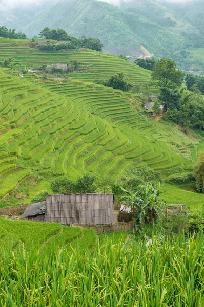 Paysage rural avec terrasses de riz et maison rurale — Photo