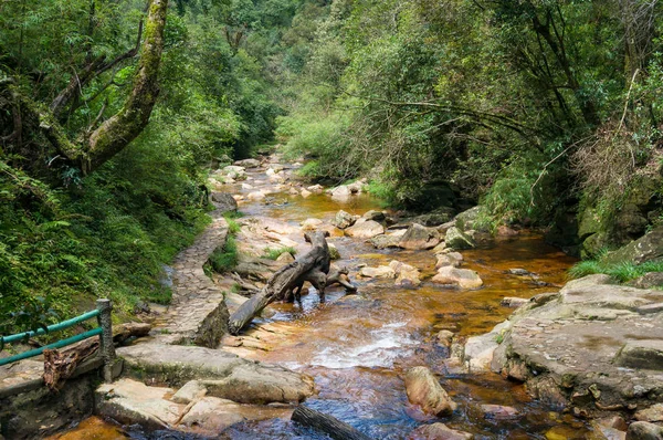 Natureza paisagem fundo de rio na floresta — Fotografia de Stock