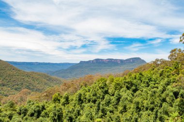 Mesafe dağları ile orman panoramik görünümü