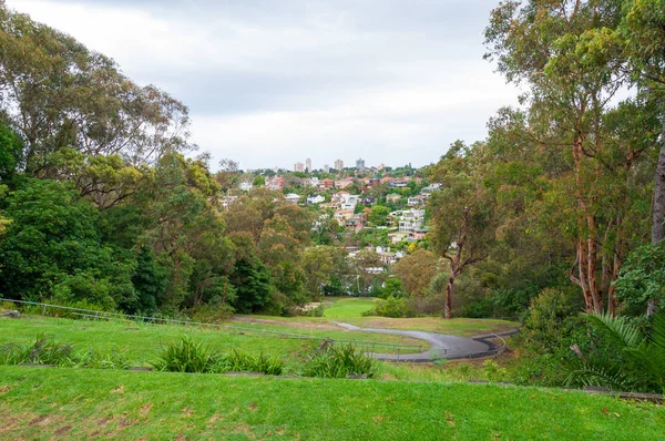 Vista del suburbio de la ciudad desde el parque — Foto de Stock