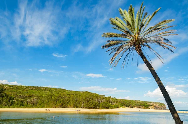 Palmträd med blå himmel och pittoresk sandstrand på bakgr — Stockfoto