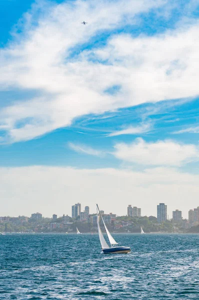 Yacht with Sydney cityscape on the background and plane in the s