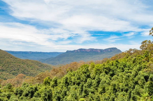 Vue panoramique sur forêt avec montagnes de distance — Photo