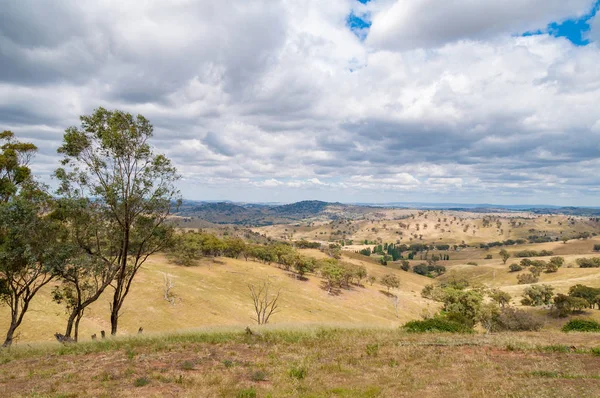 Australische Outback-Landschaft mit Hügeln und Paddocks — Stockfoto