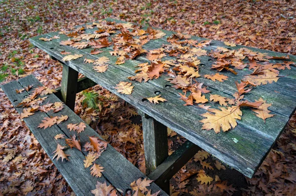 Picknicktisch aus Holz, bedeckt mit Herbstblättern — Stockfoto