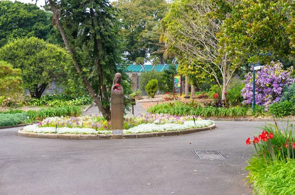 悉尼皇家植物园的雕像和花坛 — 图库照片