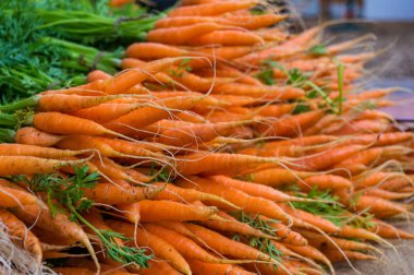 taze olgun havuç yığını