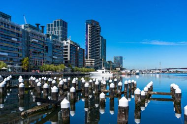 Yat rıhtımı ve defne manzaralı Docklands semti