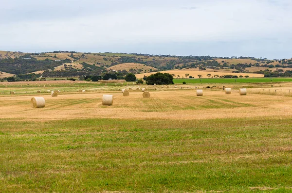 Picturesque countryside landscape of straw bales on field — Stock Photo, Image