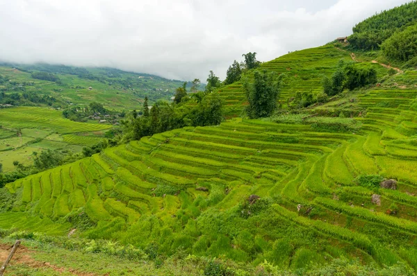 Colinas pitorescas com camadas de terraços de arroz verde — Fotografia de Stock