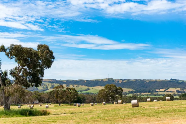 Spektakuläre ländliche Landschaft mit Panoramablick auf Felder — Stockfoto