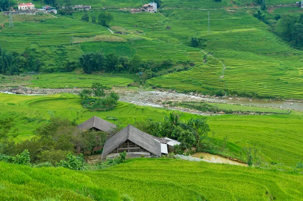 Красивый пейзаж фермерского дома среди рисовых террас — стоковое фото