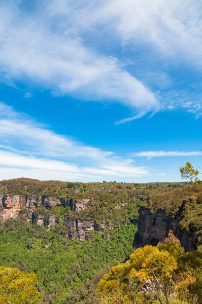Malerische Landschaft mit riesigen Eukalyptuswäldern und Bergen — Stockfoto