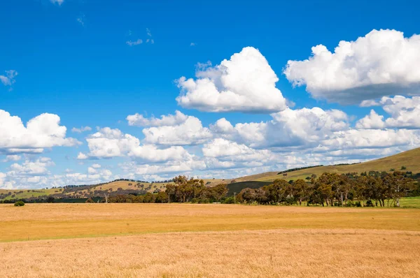 Spectacular countryside landscape of field — Stock Photo, Image
