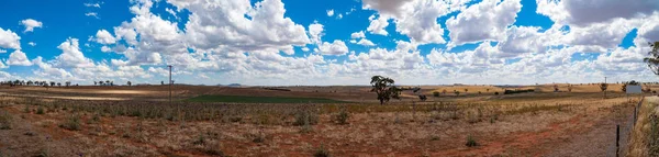 A vidéki Paddock panorámája. Vidék, mezőgazdasági tájkép — Stock Fotó