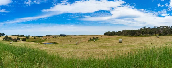 Pittoreska Panorama landskapet på landsbygden fält med halm b — Stockfoto