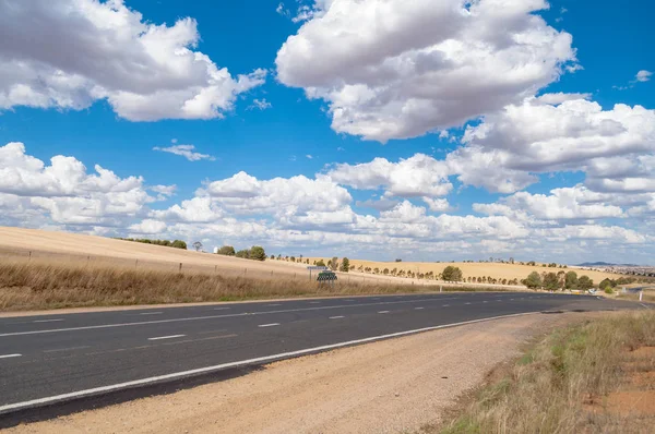 Countryside road landscape with farmlands and paddocks — Stock Photo, Image