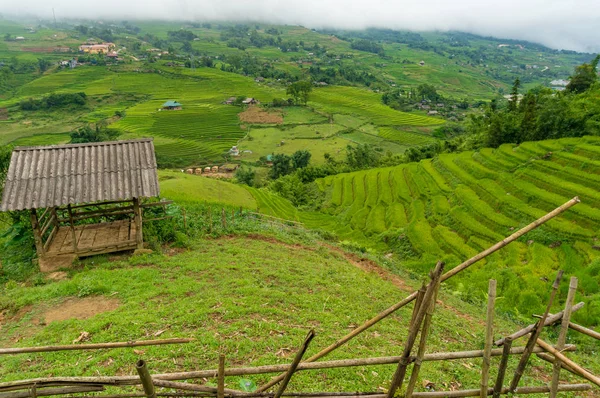 Vista épica del campo vietnamita — Foto de Stock