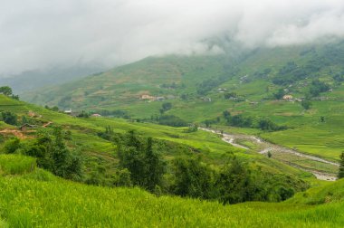 Pirinç terasları ile kaplı yamaçları ile dağ vadisi