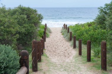 Plaj girişine ahşap direkler. Yaz arka planı