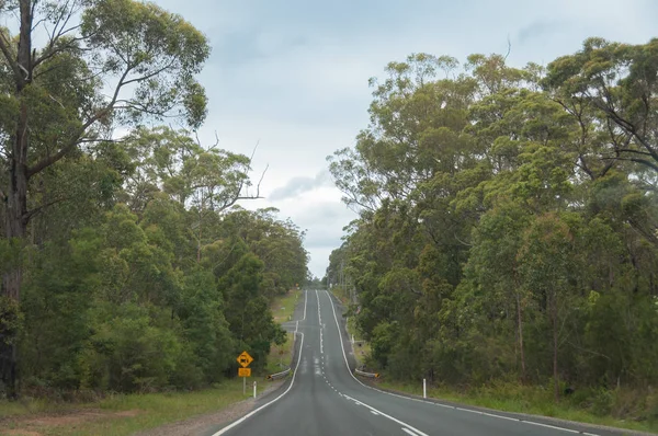 Ausztrál Outback út mentén bokor, erdő sárga közúti jel — Stock Fotó