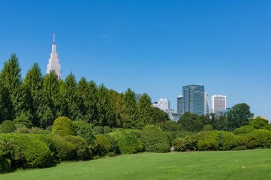 Backgrou üzerinde yüksek ofis binaları ile Yaz parkı manzara