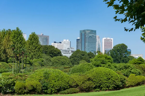 Yüksek iş binaları ile bir park manzara Yeşil ağaçlar 