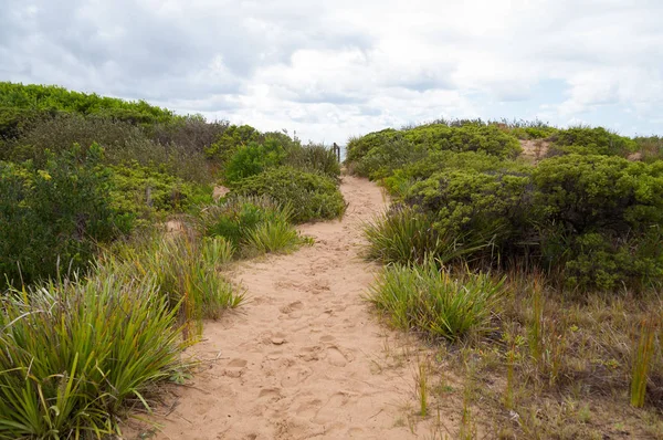 Letní krajina s písečnou stáží a pobřežní dunami — Stock fotografie
