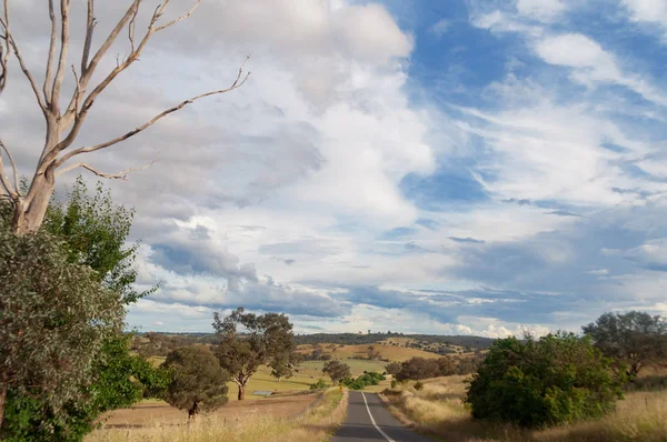 Asphaltstraße in der australischen Landschaft mit Feldern und Weiden — Stockfoto